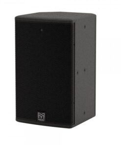 Diffusore compatto full range, 1x8 coassiale dispersione differenziale, amplificato.