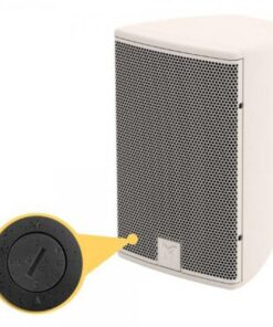 Diffusore ultra compatto full range, 1x5 coassiale dispersione differenziale, M