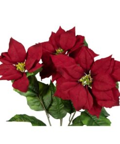 EUROPALMS Poinsettia bush, red, 50cm