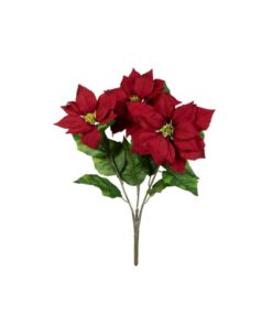 EUROPALMS Poinsettia bush, red, 50cm