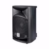 Hill Audio SMA-1020 Diffusore bi-amplificato da 10"