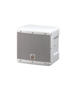 P. Audio VS-8CX OUTDOOR Speaker 2 Vie Coassiale 8ohm/100V