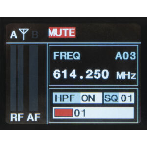 EDGE EHS-2 Set doppio microfono portatile wireless - 610-670 MHz