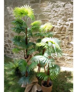 EUROPALMS Fan palm, artificial plant, 130cm