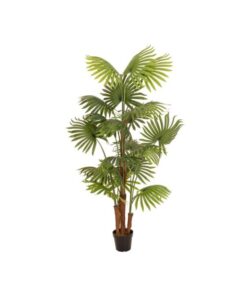 EUROPALMS Fan palm, artificial plant, 165cm