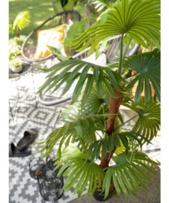 EUROPALMS Fan palm, artificial plant, 165cm