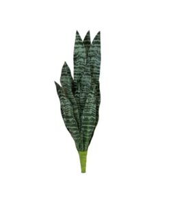 EUROPALMS Snake Tongue (EVA), artificial, green, 60cm