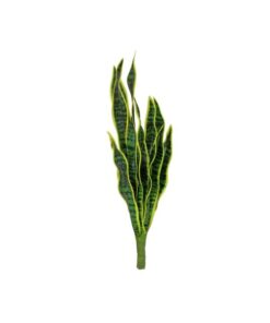 EUROPALMS Snake Tongue (EVA), artificial, green-yellow, 60cm