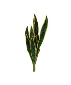 EUROPALMS Snake Tongue (EVA), artificial, green-yellow, 60cm