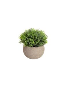 EUROPALMS Table plants in pots, artificial plant, Set of 3