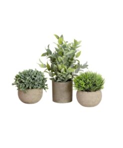 EUROPALMS Table plants in pots, artificial plant, Set of 3