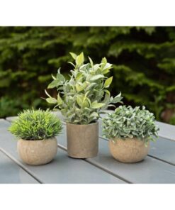 EUROPALMS Table plants in pots, artificial plant, Set of 3