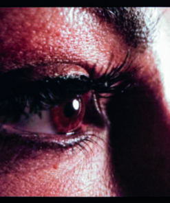 Alpha Series A2.6i - Indoor 50 x 50 cm