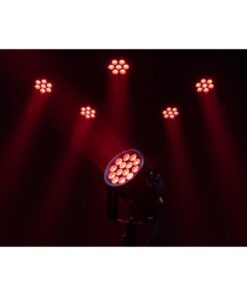 Raccoon P14/4 Par Professionale RGBM