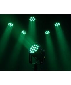 Raccoon P14/4 Par Professionale RGBM