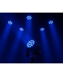 Raccoon P14/4 Par Professionale RGBM