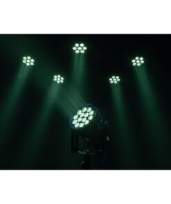 Raccoon P14/4 Par Professionale RGBM