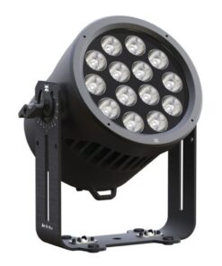 Raccoon P14/4 Par Professionale RGBM