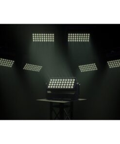 Raccoon W40/4 Washer professionale