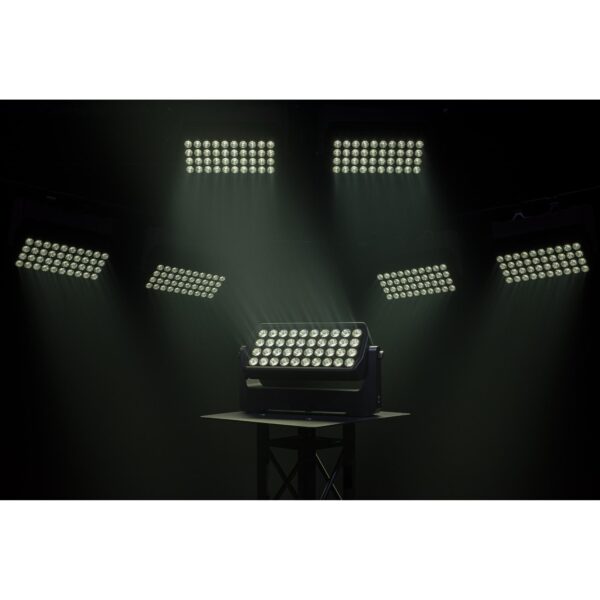 Raccoon W40/4 Washer professionale