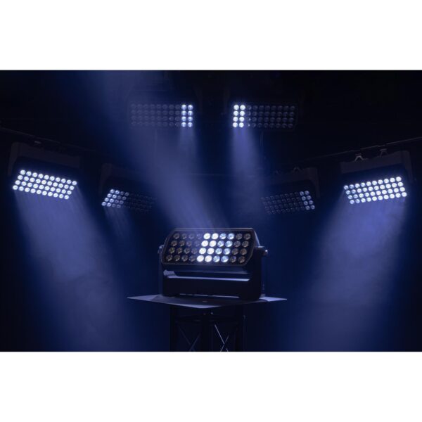 Raccoon W40/4 Washer professionale