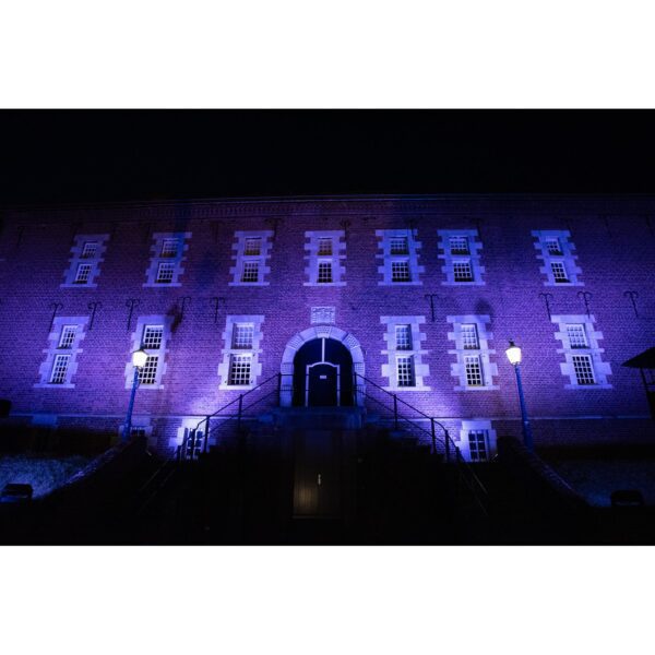 Raccoon W40/4 Washer professionale