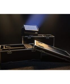 Raccoon W40/4 Washer professionale