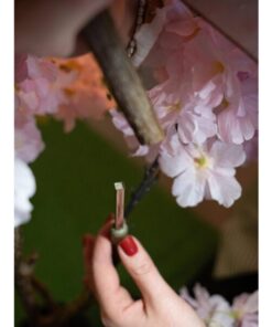 EUROPALMS Cherry tree with 5 trunks, artificial plant, rose, 160cm