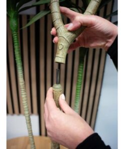 EUROPALMS Dracaena, artificial plant, green, 170cm