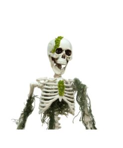 EUROPALMS Halloween Skelteton with Moss, 40cm