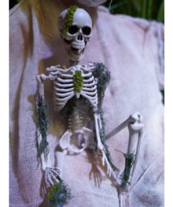 EUROPALMS Halloween Skelteton with Moss, 40cm