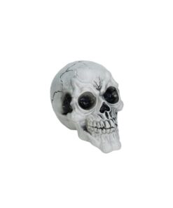 EUROPALMS Halloween Skull, 3x