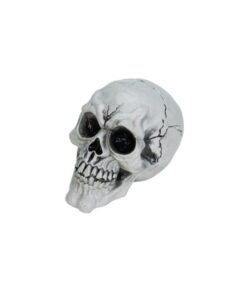 EUROPALMS Halloween Skull, 3x