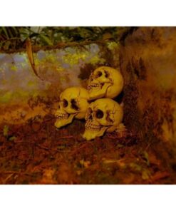 EUROPALMS Halloween Skull, 3x