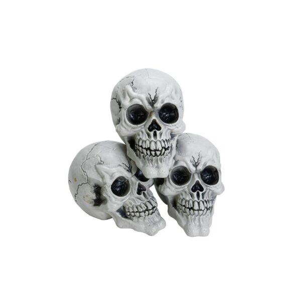 EUROPALMS Halloween Skull, 3x
