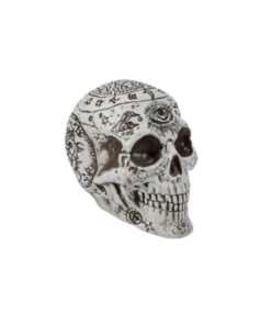 EUROPALMS Halloween Skull, mystical, 12x10x18cm