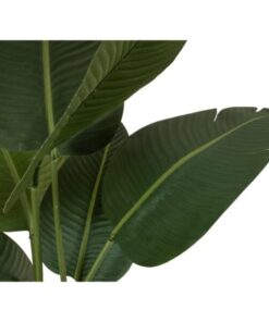 EUROPALMS Strelitzia, artificial plant, 110cm