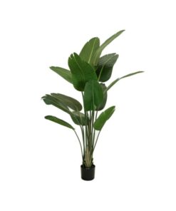 EUROPALMS Strelitzia, artificial plant, 170cm