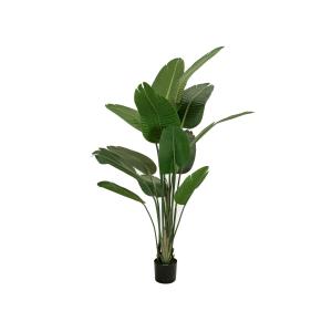 EUROPALMS Strelitzia, artificial plant, 170cm