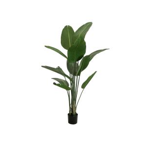 EUROPALMS Strelitzia, artificial plant, 170cm