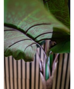 EUROPALMS Taro Alocasia, artificial plant, 140cm
