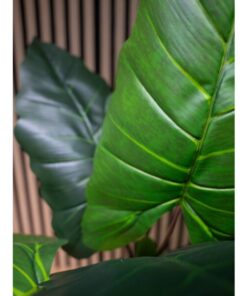 EUROPALMS Taro Alocasia, artificial plant, 140cm