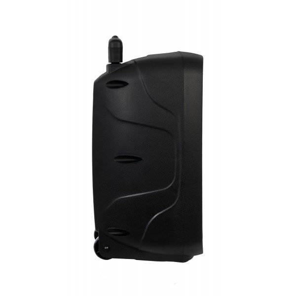 MALIBU-308 ALTOPARLANTE 8" A BATTERIA, 100W