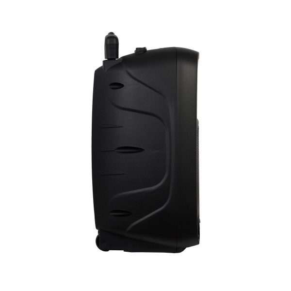 MALIBU-310 ALTOPARLANTE 10" A BATTERIA, 100W