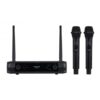 SONAIR-2M DOPPIO MICROFONO PALMARE WIRELESS