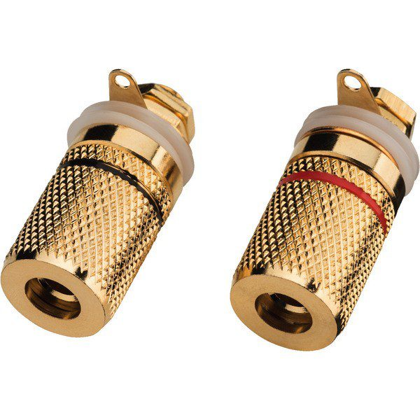 BP-250G COPPIA DI MORSETTI PER ALTOPARLANTI