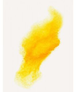 HOL75ECO-AM POLVERE HOLI GIALLA DA 75 G- SACCHETTO IN CARTA