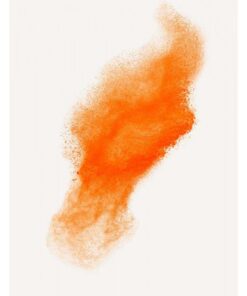 HOL75ECO-NJ POLVERE HOLI ARANCIONE DA 75 G- SACCHETTO IN CARTA