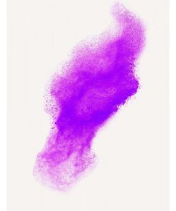 HOL75ECO-VI POLVERE HOLI VIOLA DA 75 G- SACCHETTO IN CARTA