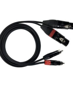 DZZF300 CAVO AUDIO 2 SPINOTTI RCA  2 PRESE XLR3 M